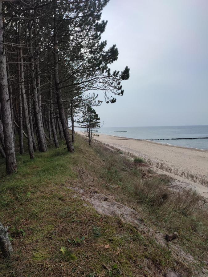 Zielonka Relaks Villa Rusinowo  Exteriör bild