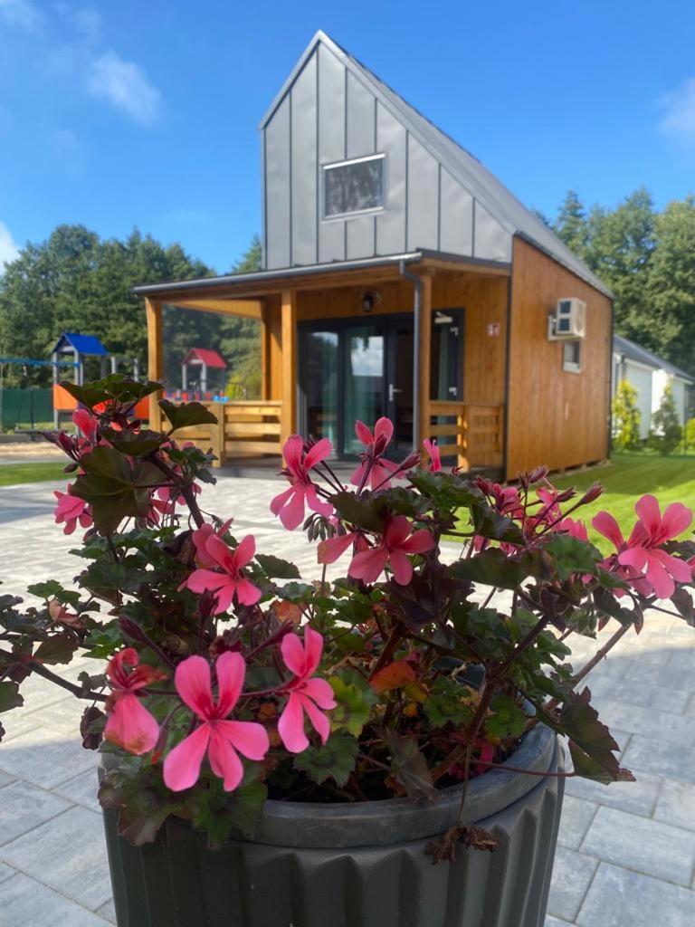 Zielonka Relaks Villa Rusinowo  Exteriör bild
